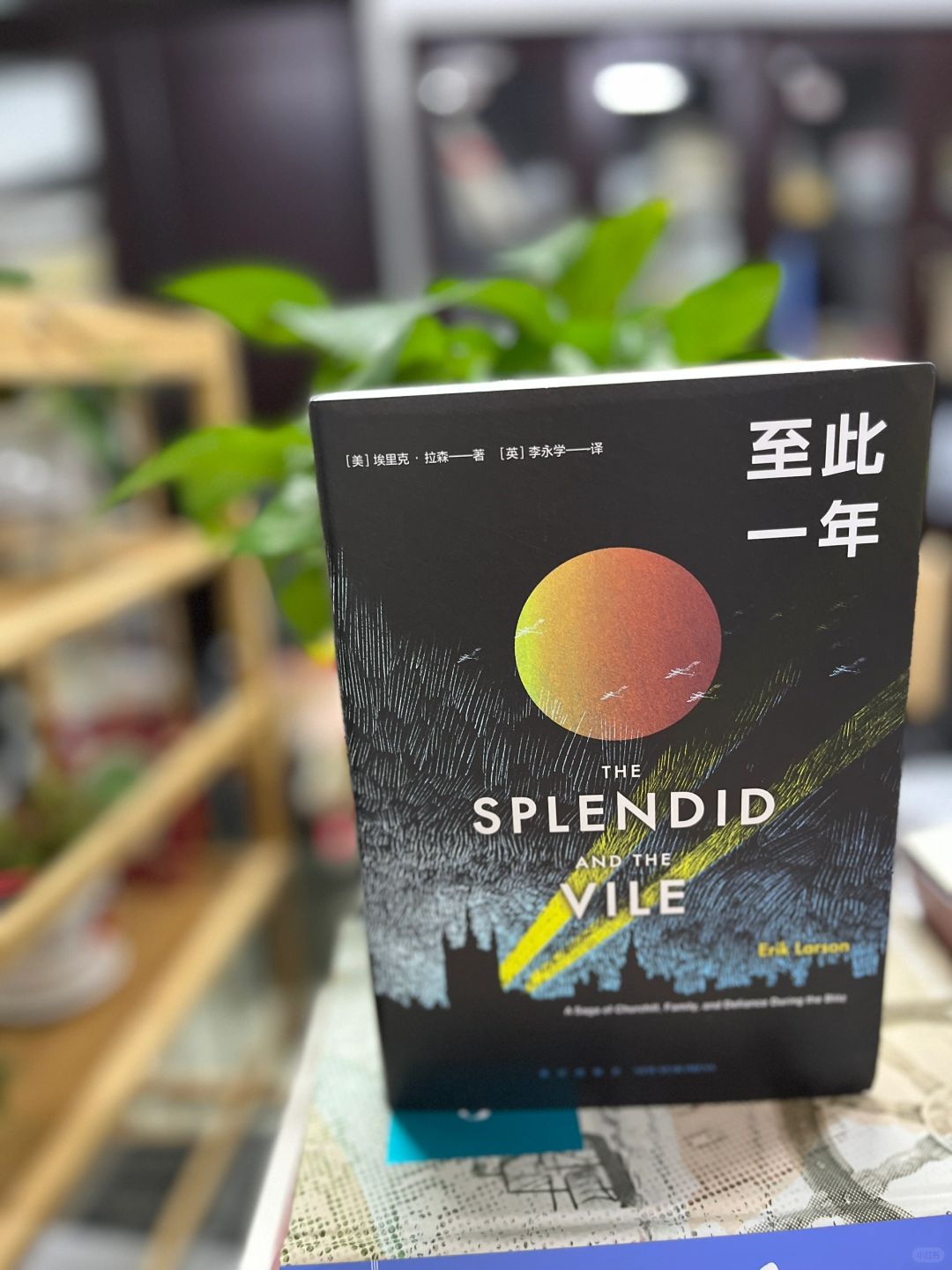 “只有他有能力让这个国家相信它会赢”