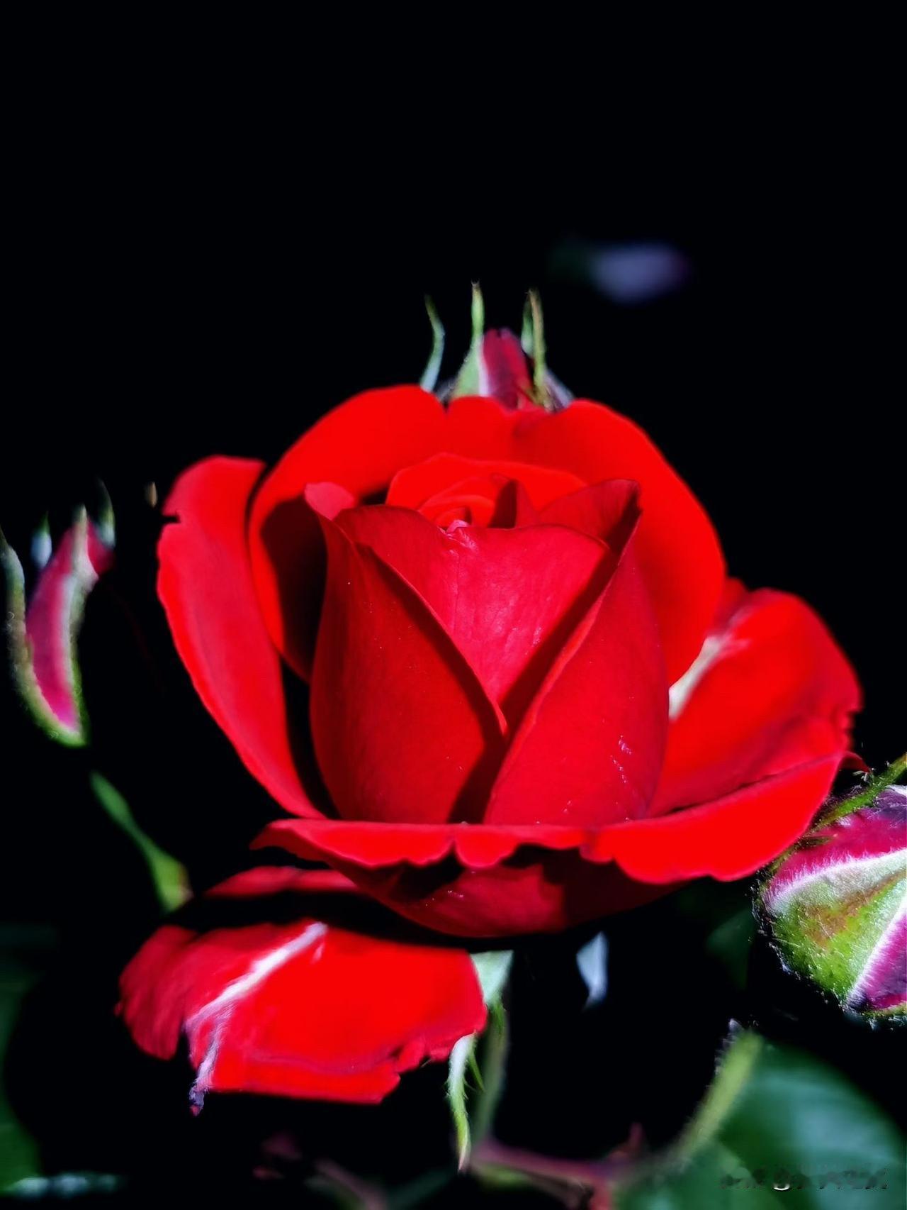 【小对联】
上：侠气；
下：……？