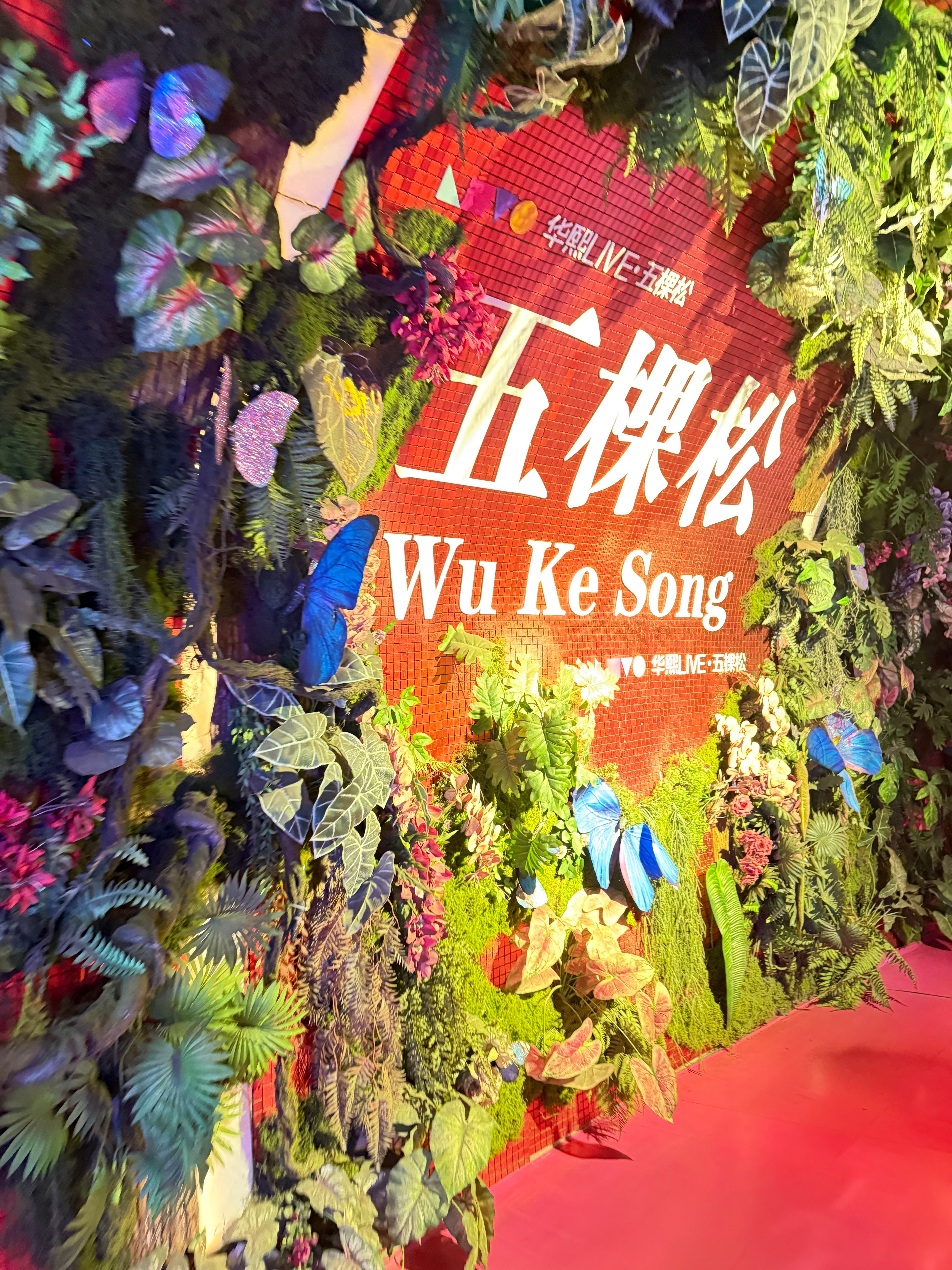 每日一善  💫阳光信用💫每日一善我们都有爱心爱护大自然人人有责爱护小动物从你