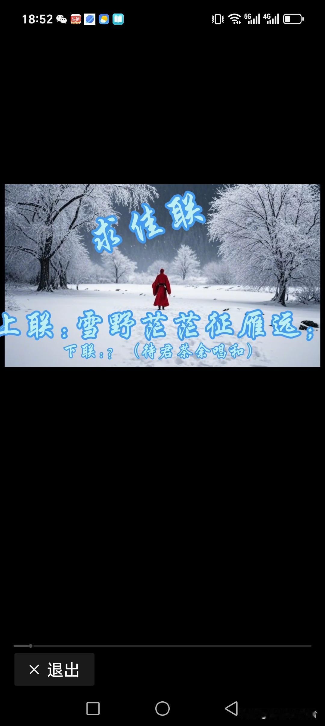 雪野茫茫征雁远
鹅群鹅鹅炼寒近