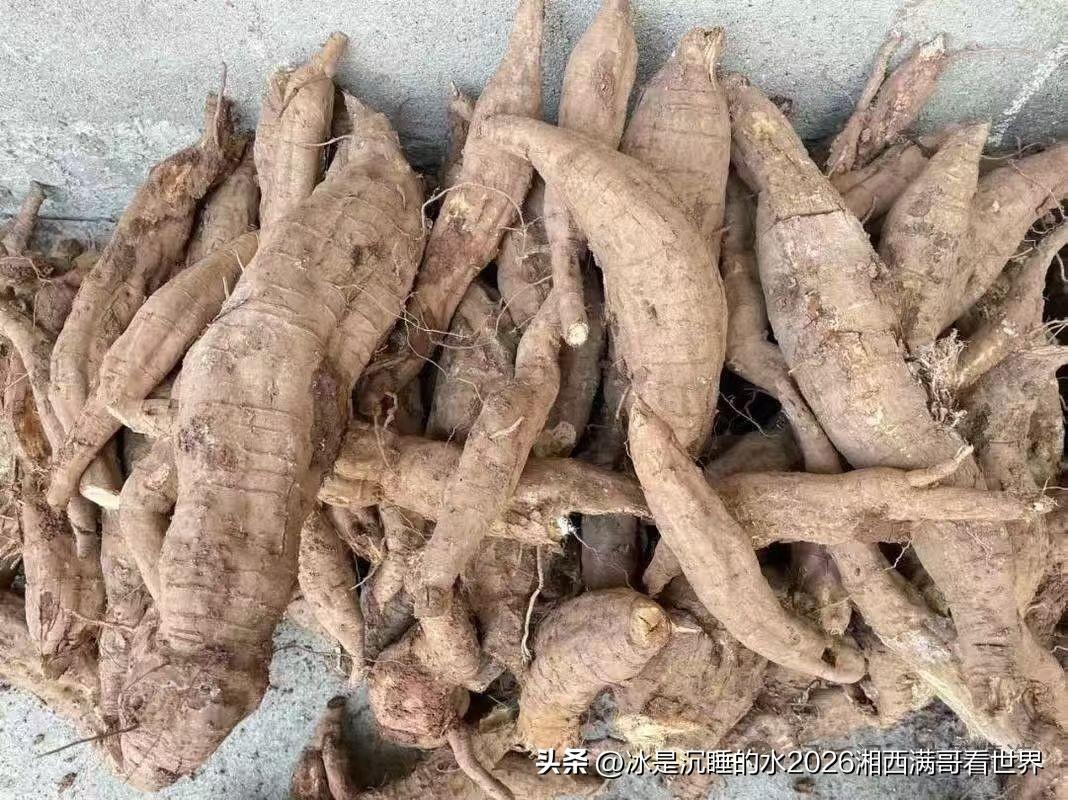 图一是湖南省湘西山区独有的纯野生的葛根，要从山里手工挖出来。是的，这三张图片展示