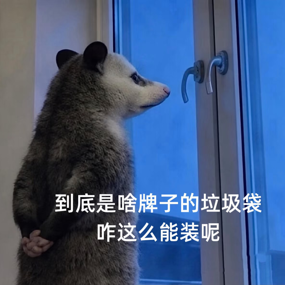 我不知道一些脱粉回踩的沙币到底想干啥一天到晚磕🐢糖把自己🧠磕没了现在又开始用