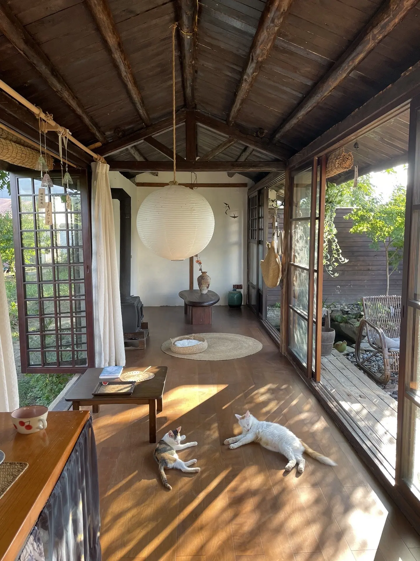 很知足!30岁过上了梦寐以求的隐居生活。