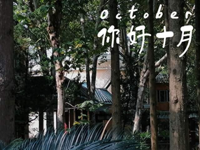 9月你将开启：一顺百顺，往后日日皆得圆满