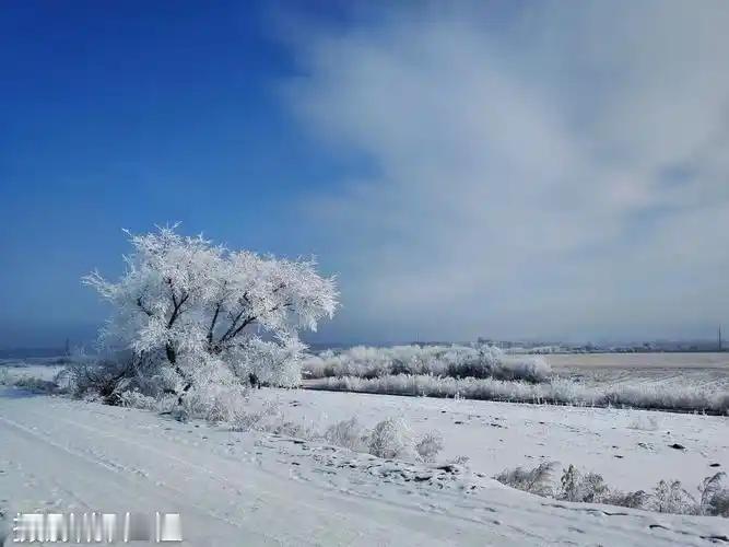 下联：风扬塞北雪花飞。

（图片来自网络）