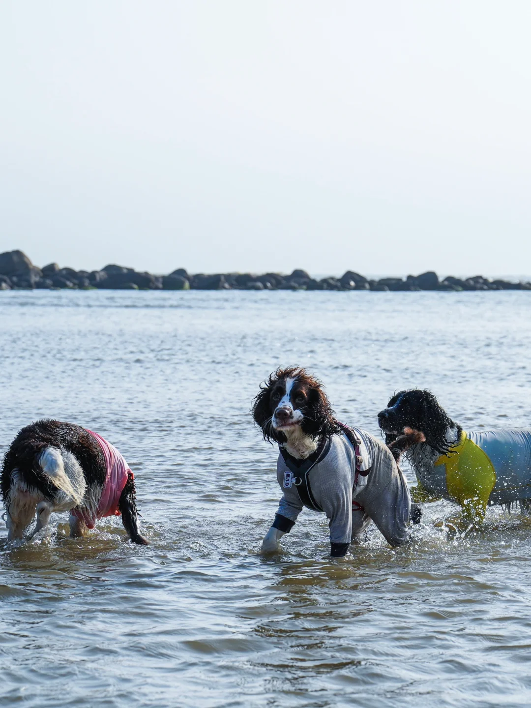 阳光海浪和沙滩