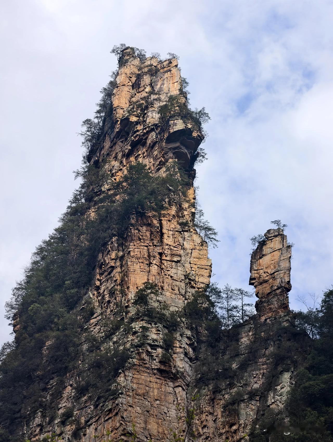 张家界森林公园十里画廊真是个宝藏地。3月14日那会儿，这里春花烂漫，好多中外游客