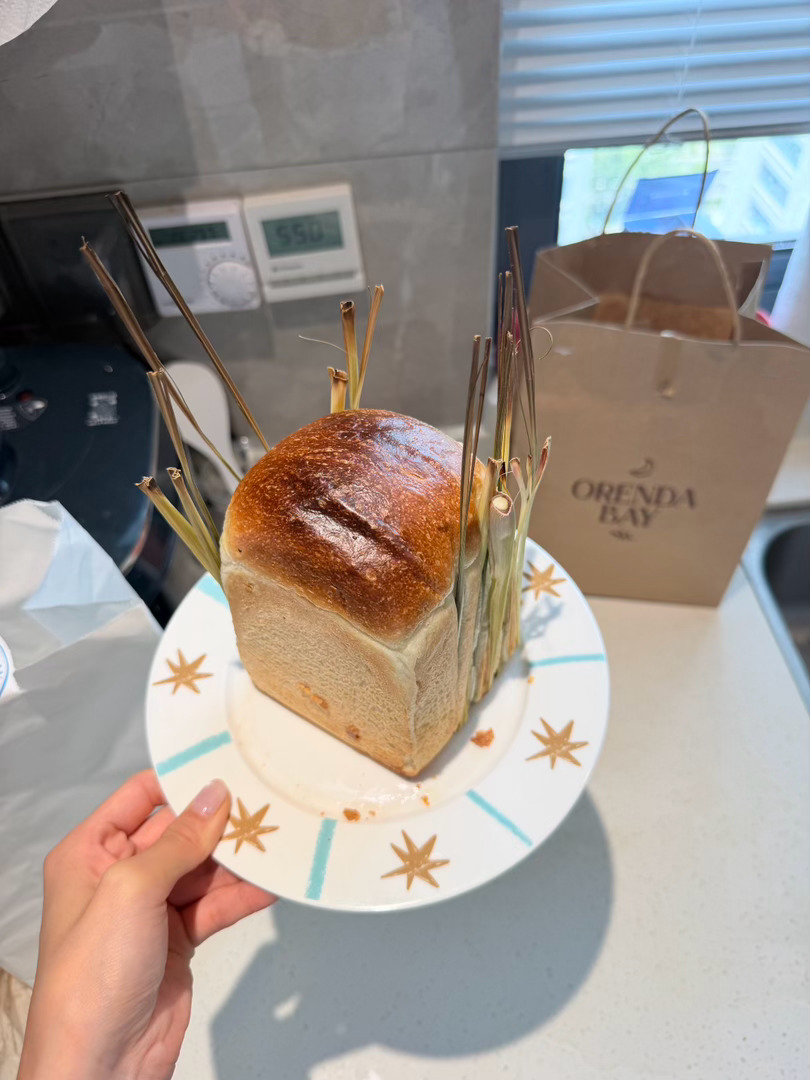 不靠父母不靠自己靠闺人肉背回 又吃上挚爱吐司🫰🏻🍞 