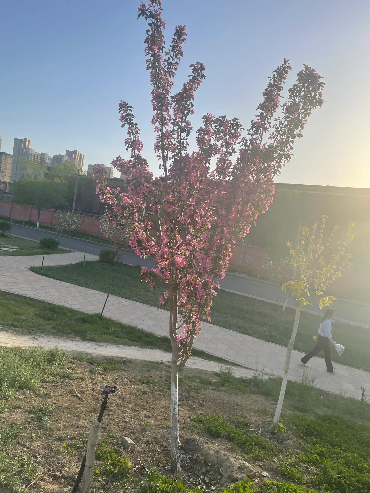 分享一张关于春天的照片