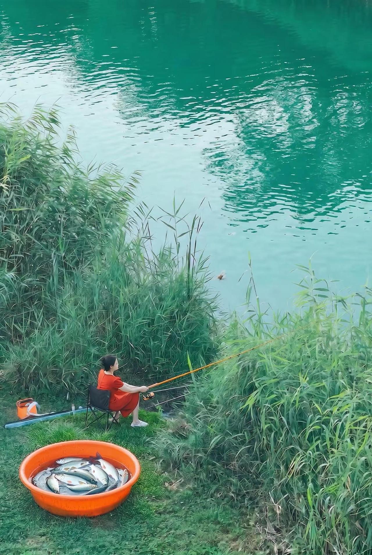 海豚知道 河里钓草鱼的技巧分享