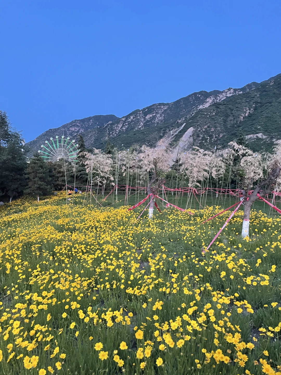不能错过的自然美景⛰️