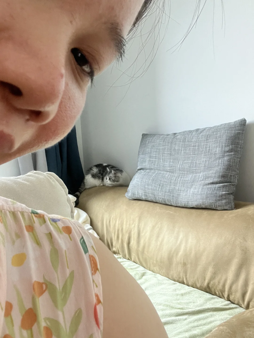 窝在角落的小猫咪～