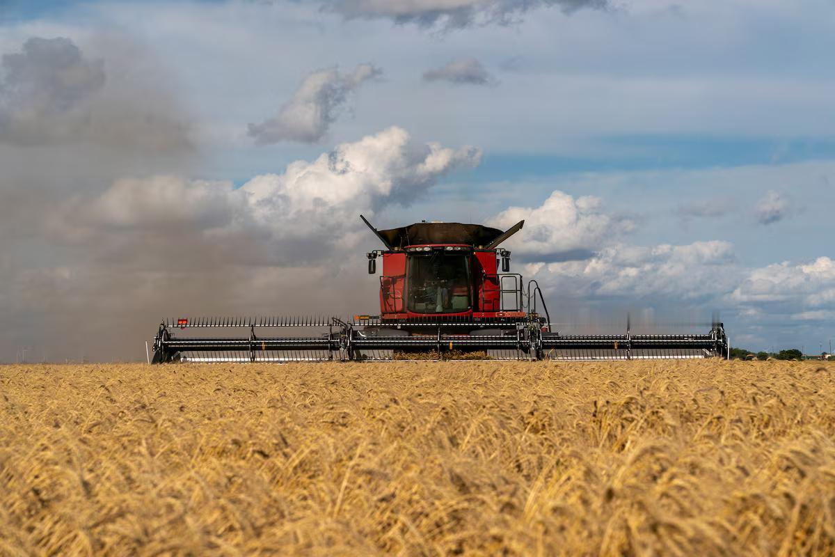 [To learn English]
The U.S. Department o