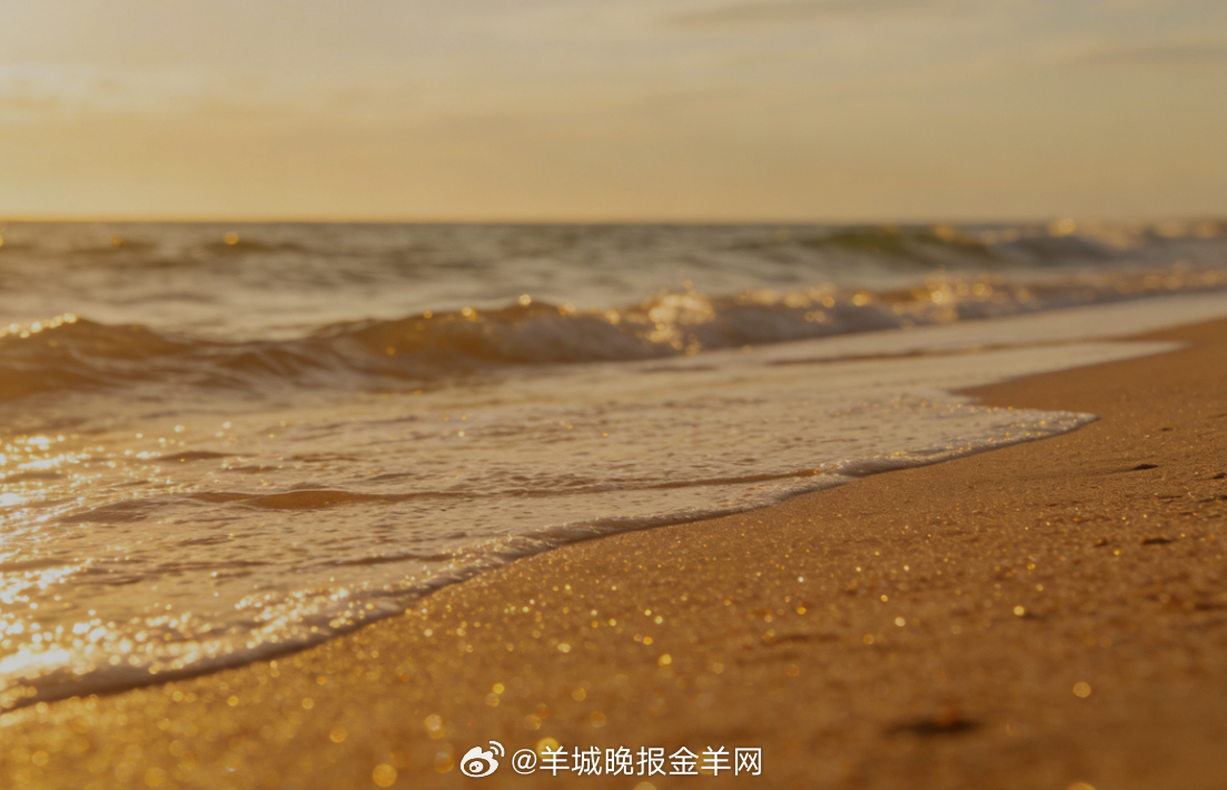 #早安# 阳光洒在海岛沙滩上，海风轻轻，浪声温柔，自在漫步在这片澄澈与温暖里。愿