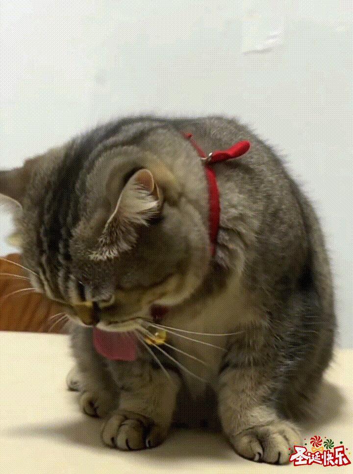 哎呦喂，又违规了[泪奔][泪奔]，
           真是一脸懵啊，
   