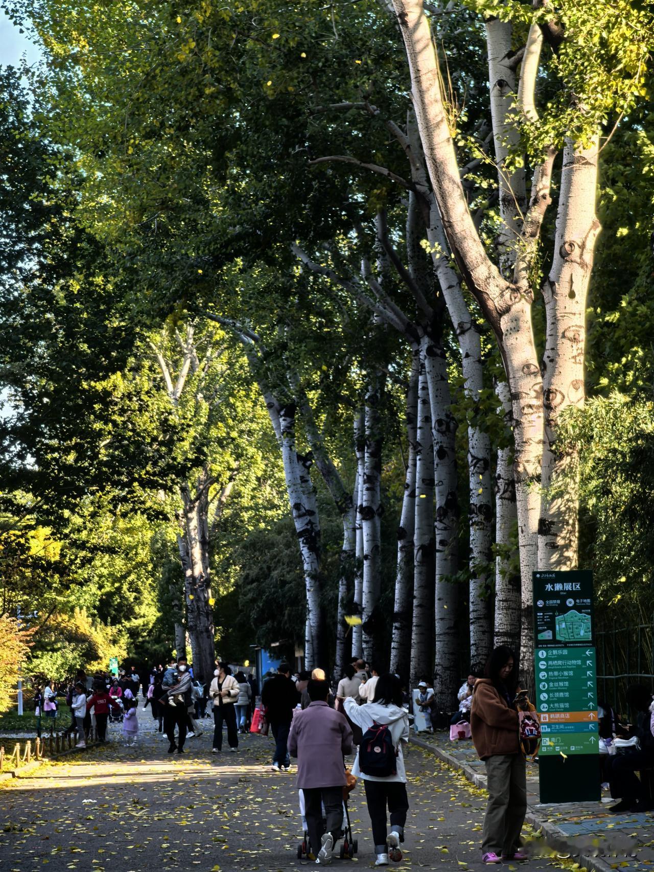 北京动物园的秋景