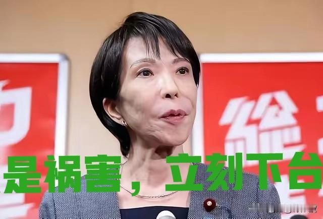 高市早苗，即刻下台！你就是个麻烦精，是最遭人厌的日本首相。满嘴胡言乱语，搅乱了地