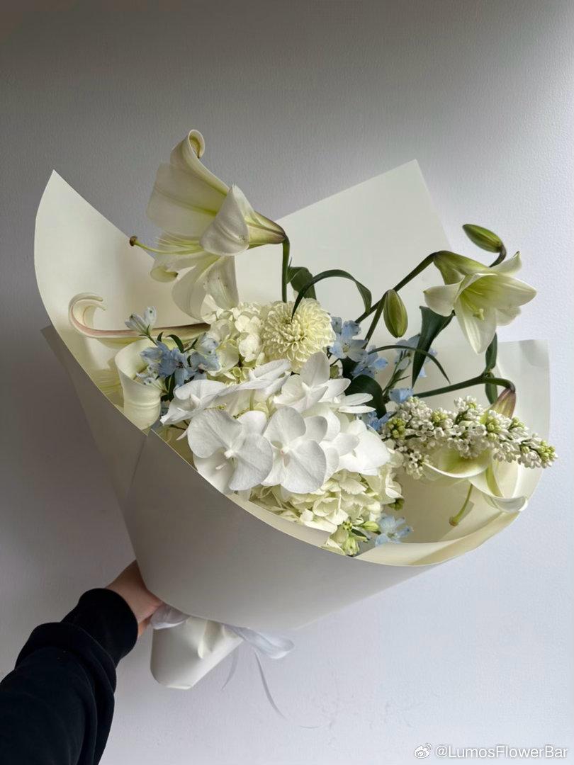 S号白色系花束✨lumos花束系列 ​​​