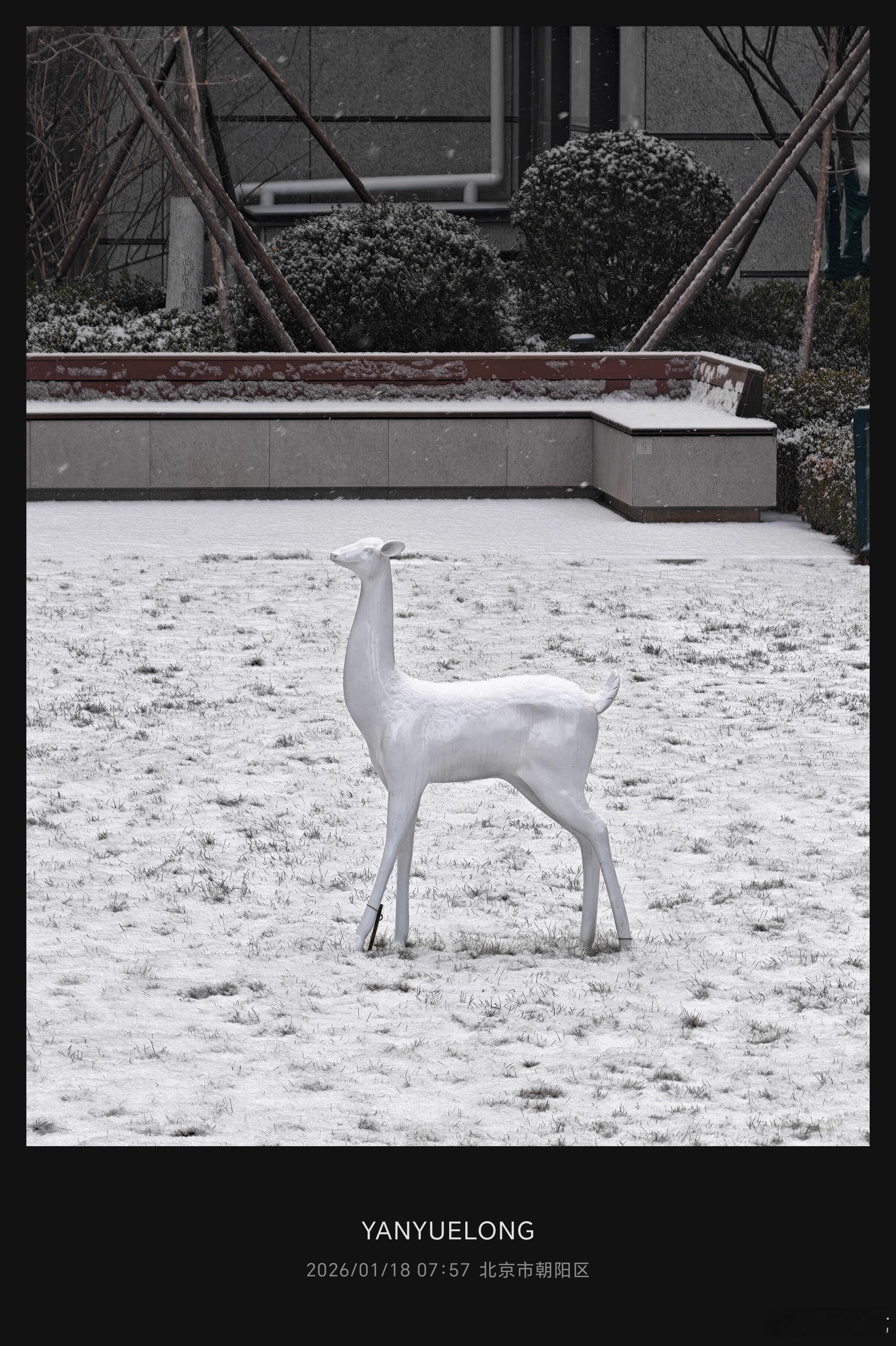 丰年好大雪，珍珠如土金如铁。北京下雪