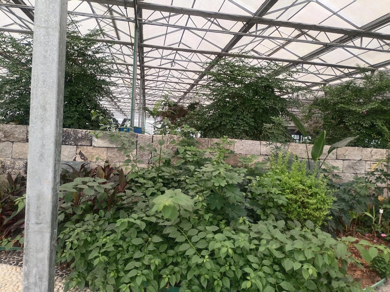 上联：冬去山明水秀，下联：请你来春来鸟语花香