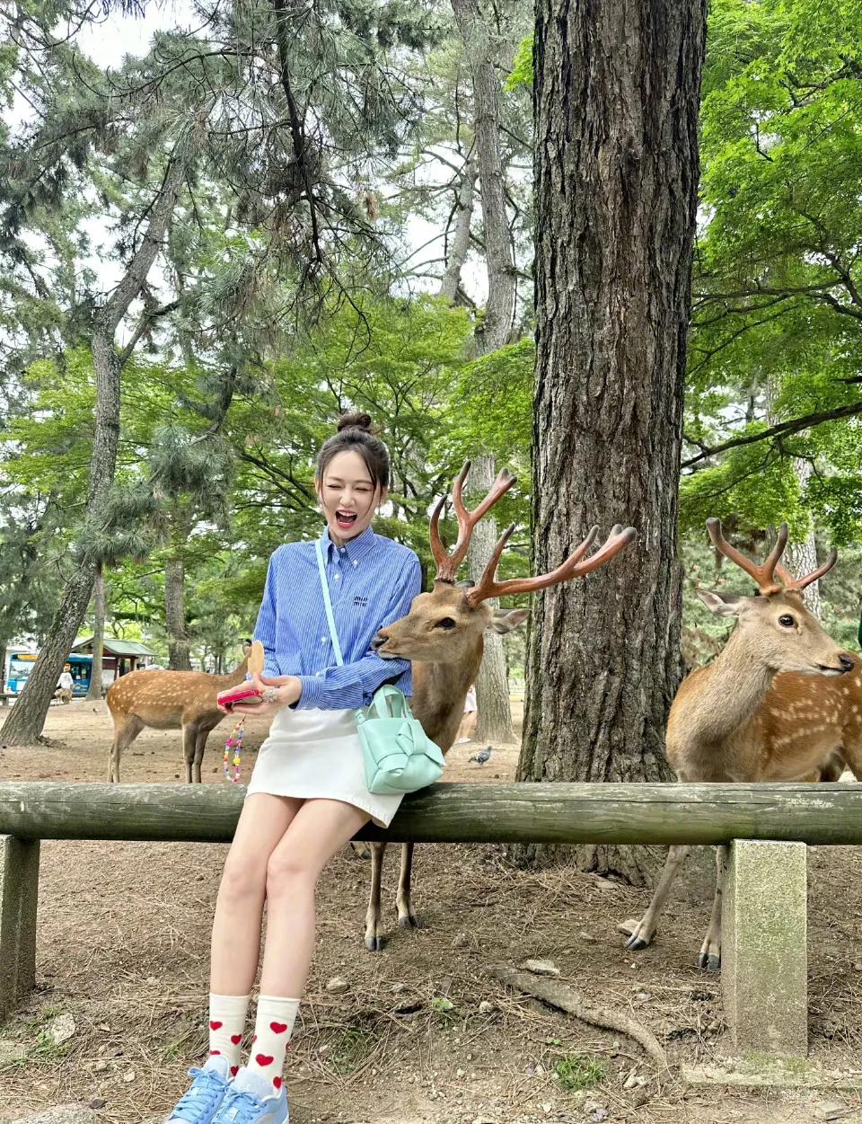 陈乔恩扎着丸子头穿着条纹蓝衬衣搭小白裙在小鹿🦌互动，宛如初恋少女一样活泼可爱。