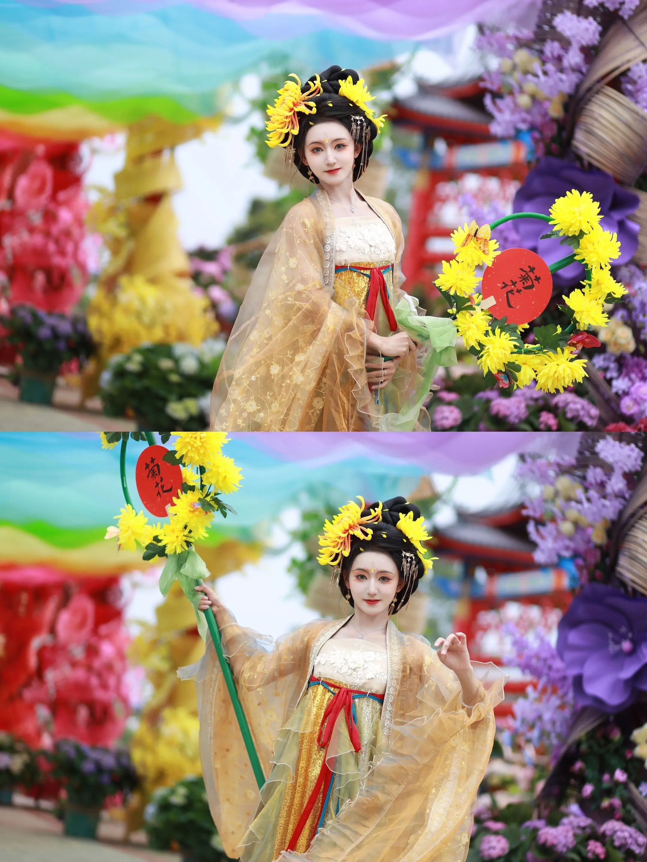 花朝节之菊花花神 柒柒。