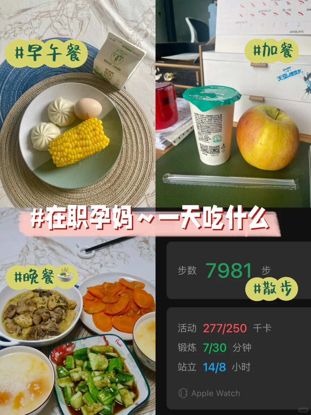 孕中期在职孕妈-自己做饭🍳预产倒计时113天