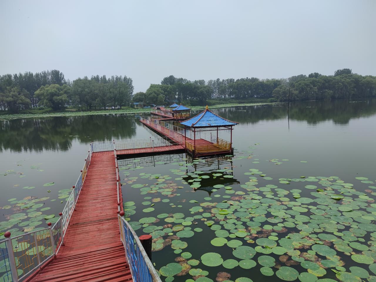 夏日纳凉之处何其多，各地有自己的选择，河边树下、荷塘是好去处。