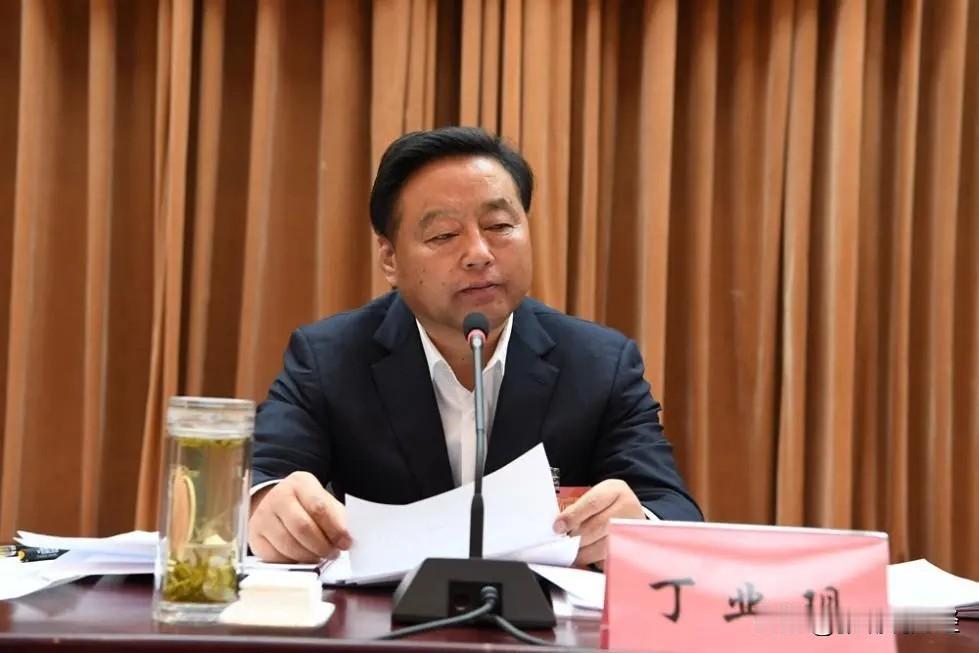 退休三年也难逃，副部级丁业现被带走调查，此前他的4位同僚已落马

生于1960年