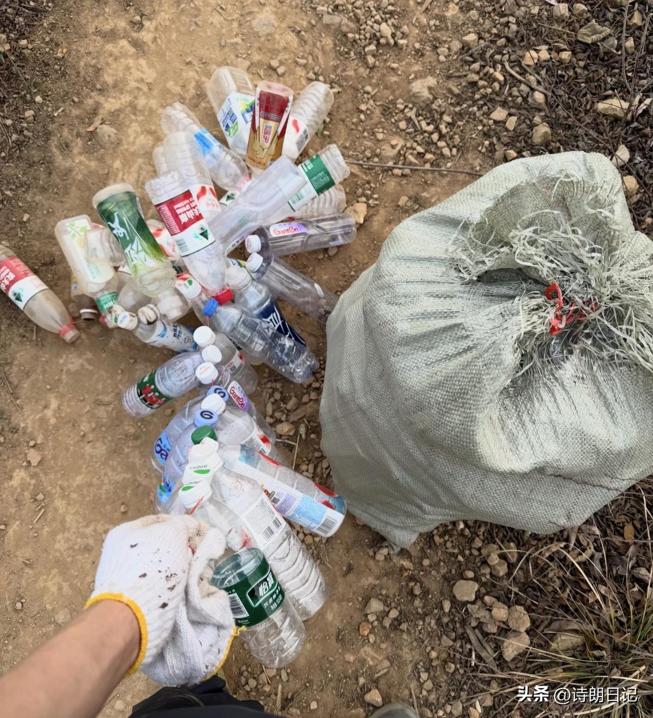 为什么有的人宁愿捡垃圾过日子维持生计，也不愿意进厂上班？不少网友都说，捡废品收入