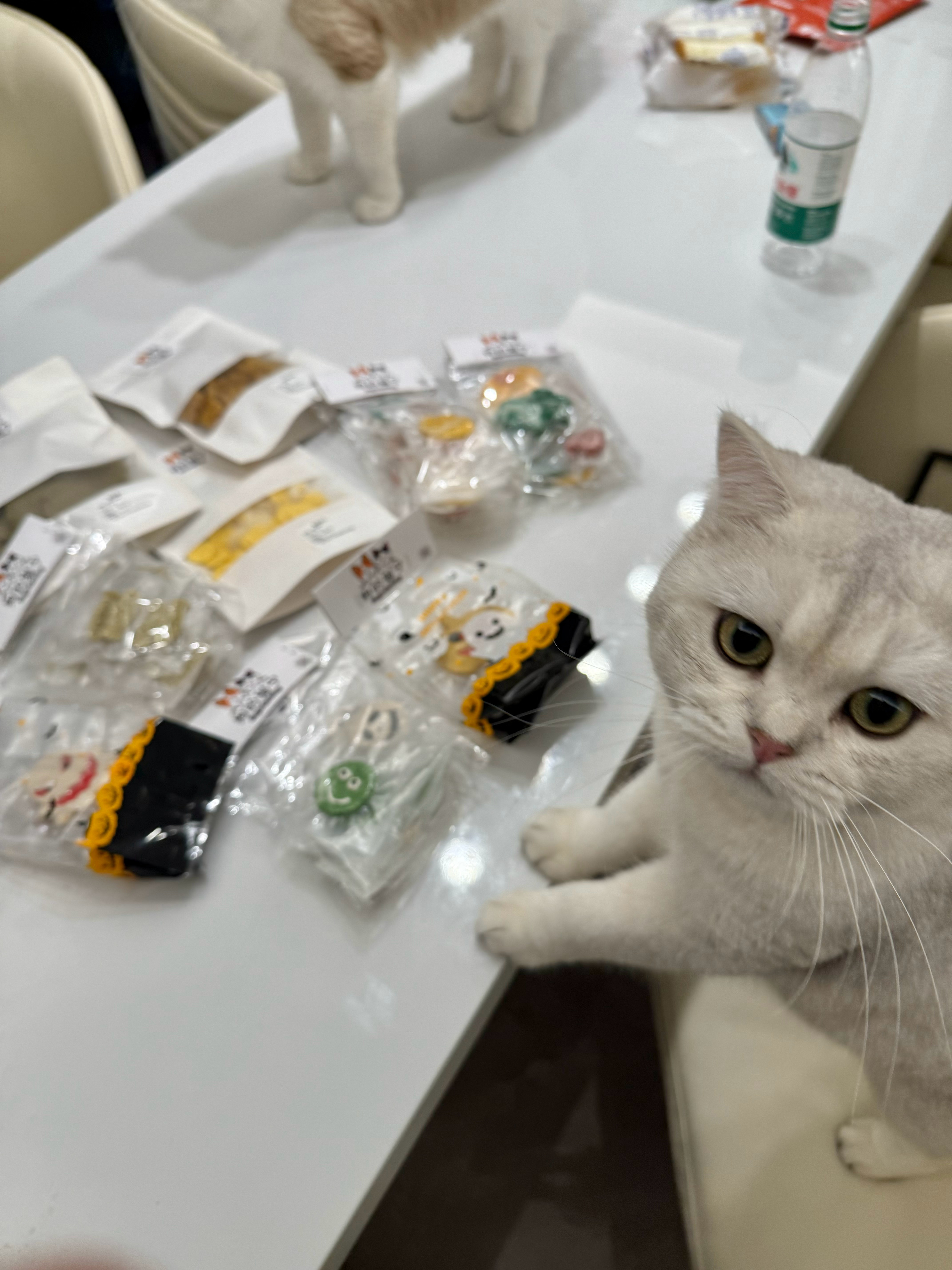 我好闺闺开了做宠物零食的店 确实做得很用心很好看 儿子也很爱吃 帮她宣传一下[爱