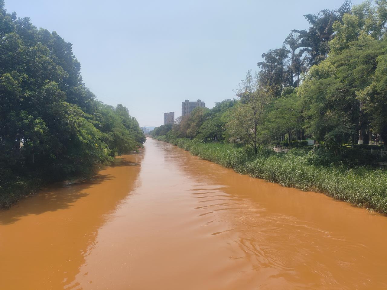 红河州的开远，泸江公园，总算见识了红河。不过他们说是因为这段时间雨季水才这么的红