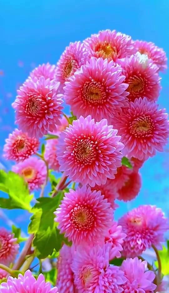 旋律和歌词搭配和谐，相得益彰，让人百听不厌，深受感染。
🙏🏻👨‍👩‍👦