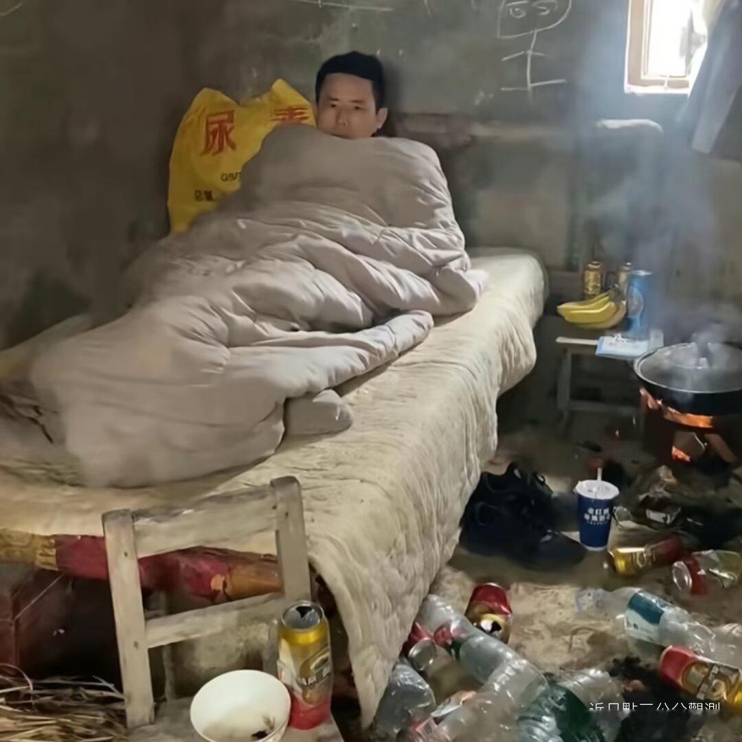 3289号主现生状况 