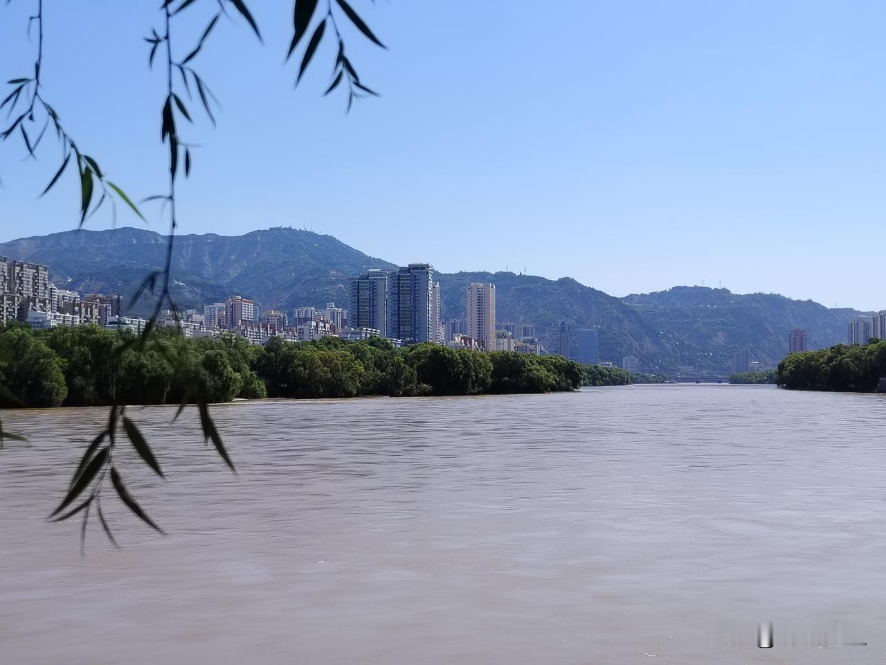 原创诗·又见黄河

上一次与你谋面
还是春寒料峭
那时的你
一袭深蓝如镜
静水流
