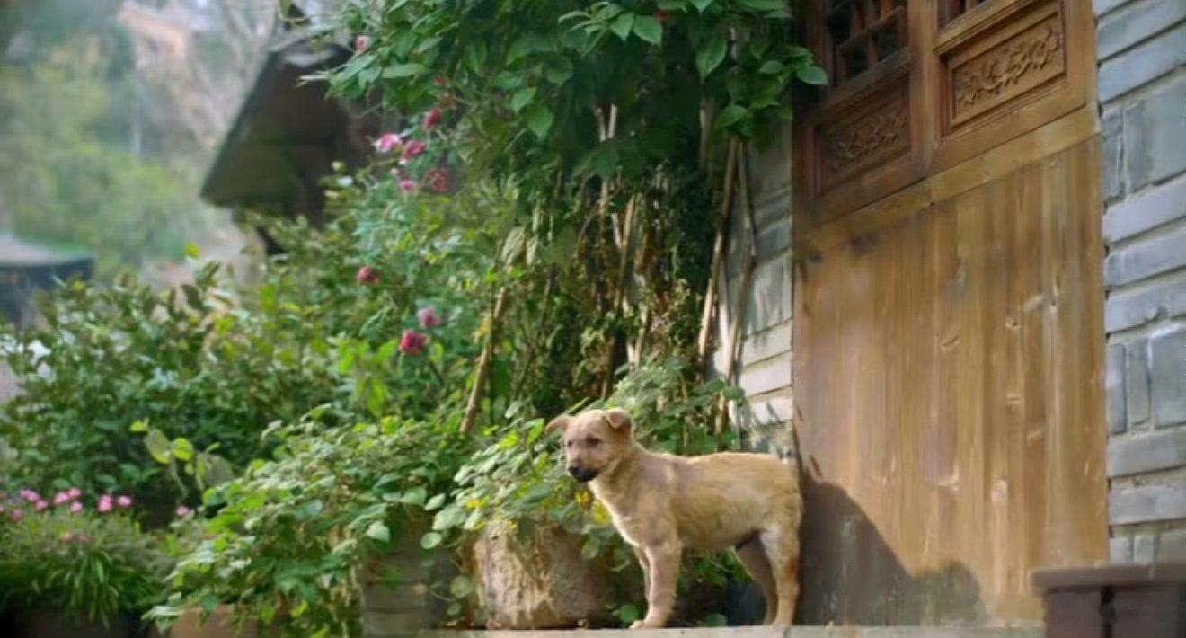 李云霄李云霄新歌看见了去有风的地方李云霄《看见了去有风的地方》太好哭，风景美、歌