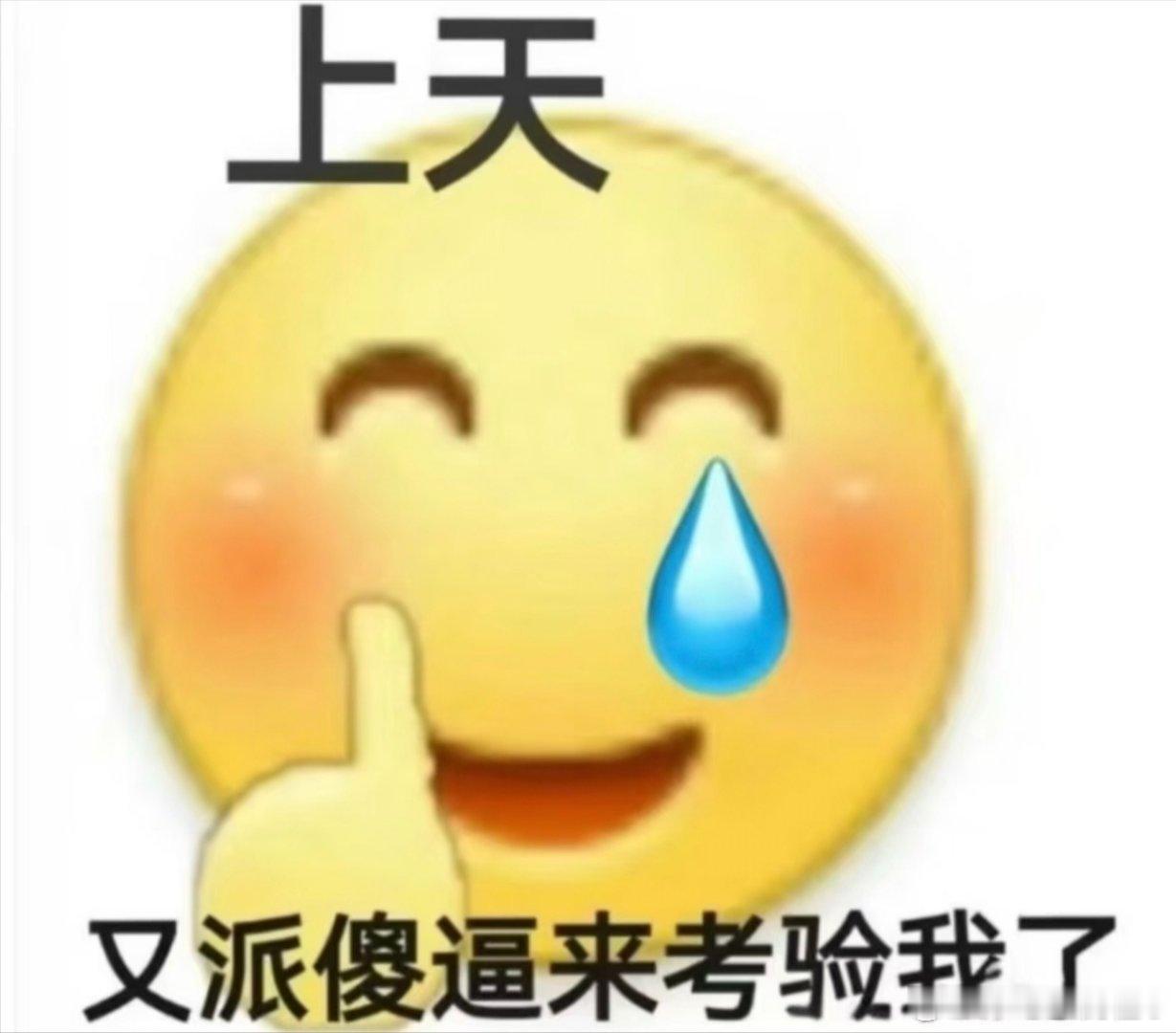 泰航拒绝20多名中国乘客登机怎么还有人去那里，脑壳有包还是进水了，老喜欢往往不友