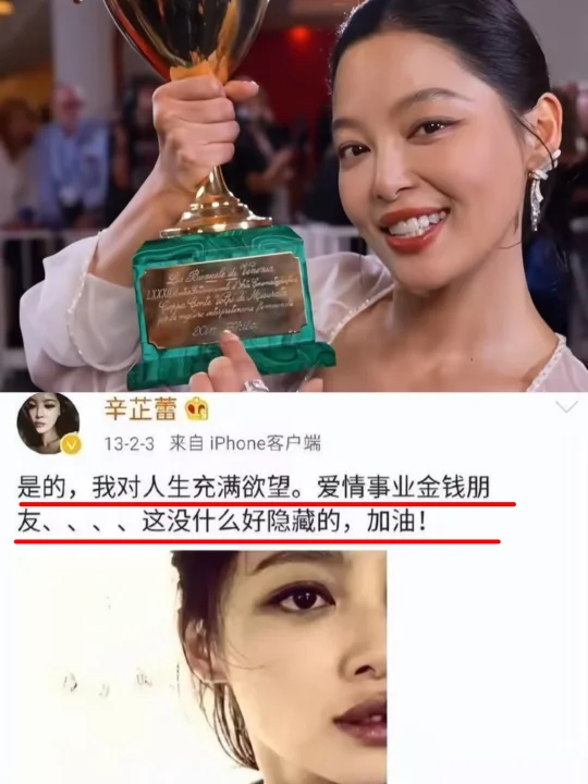 辛芷蕾的来时路❗欲望和野心都是勋功章