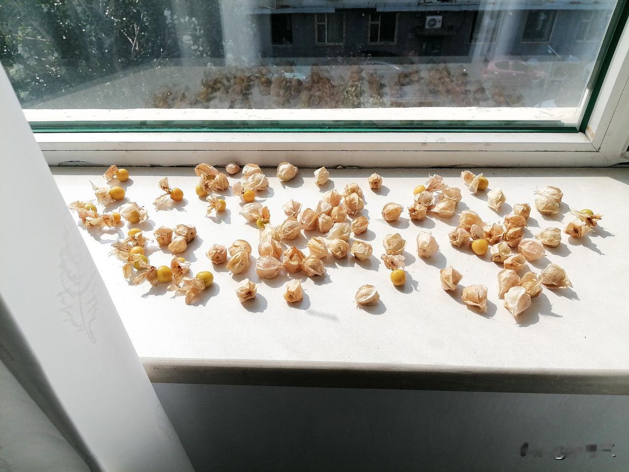 抱歉，跟粉丝朋友说一声，之前说好8月1日开新书，连载新的长篇。但是，我没做到。
