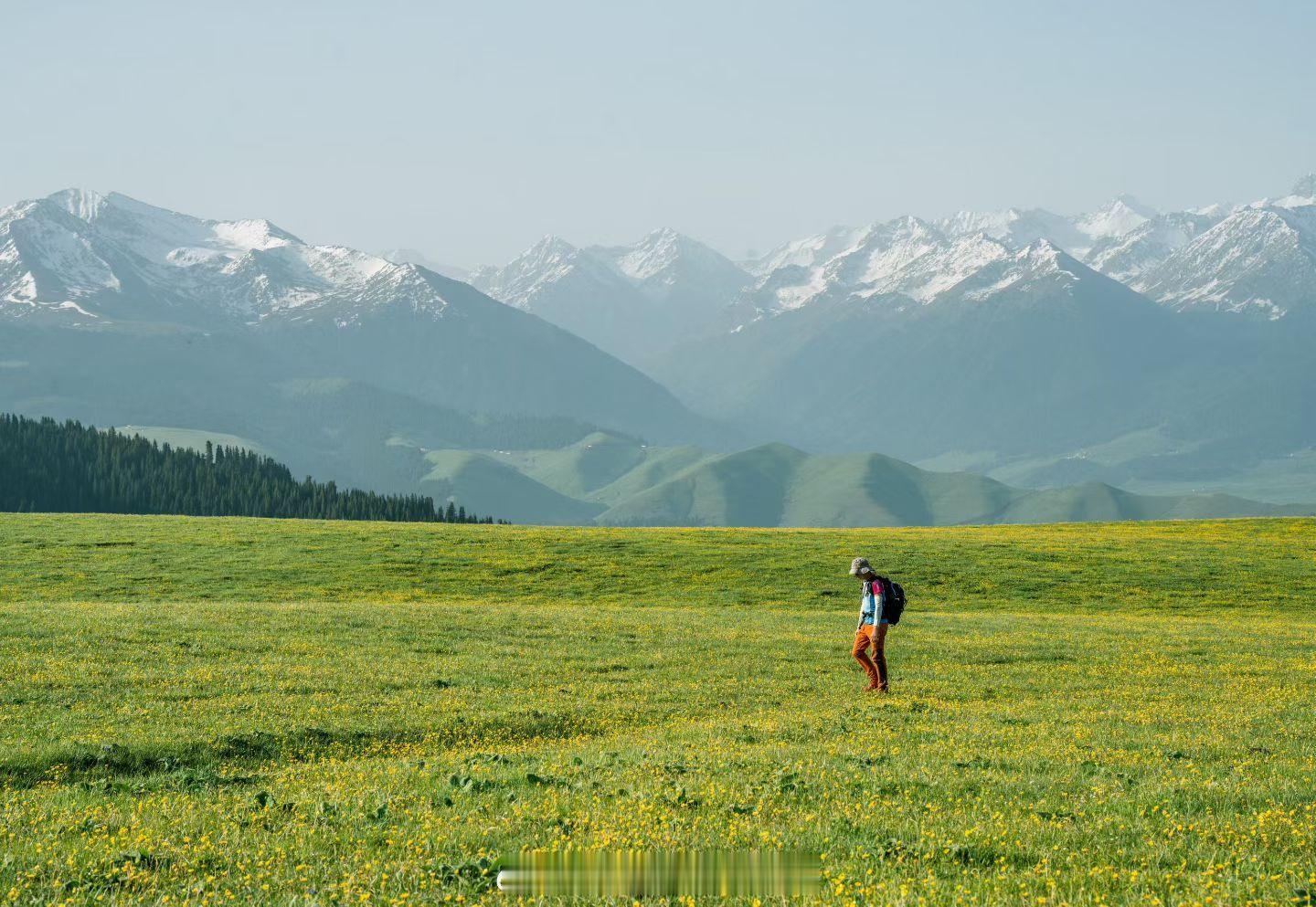 新疆旅行去看喀拉峻的花海不需要理由，5天4晚，出发就够了！5.23号徒步节还有名
