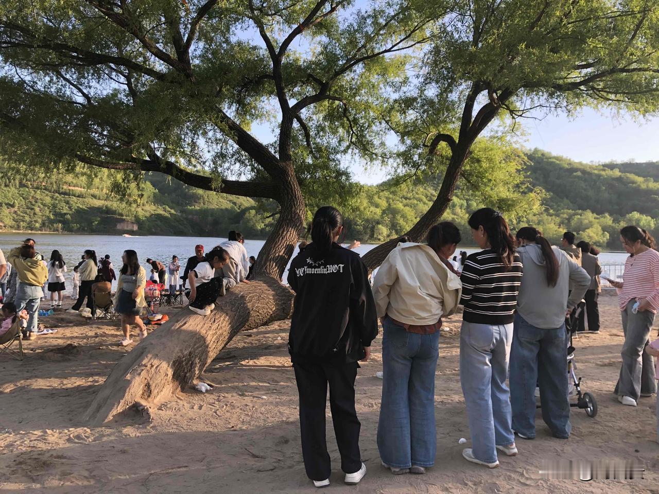千年松柏，千年古槐，会比花更有魅力呢。