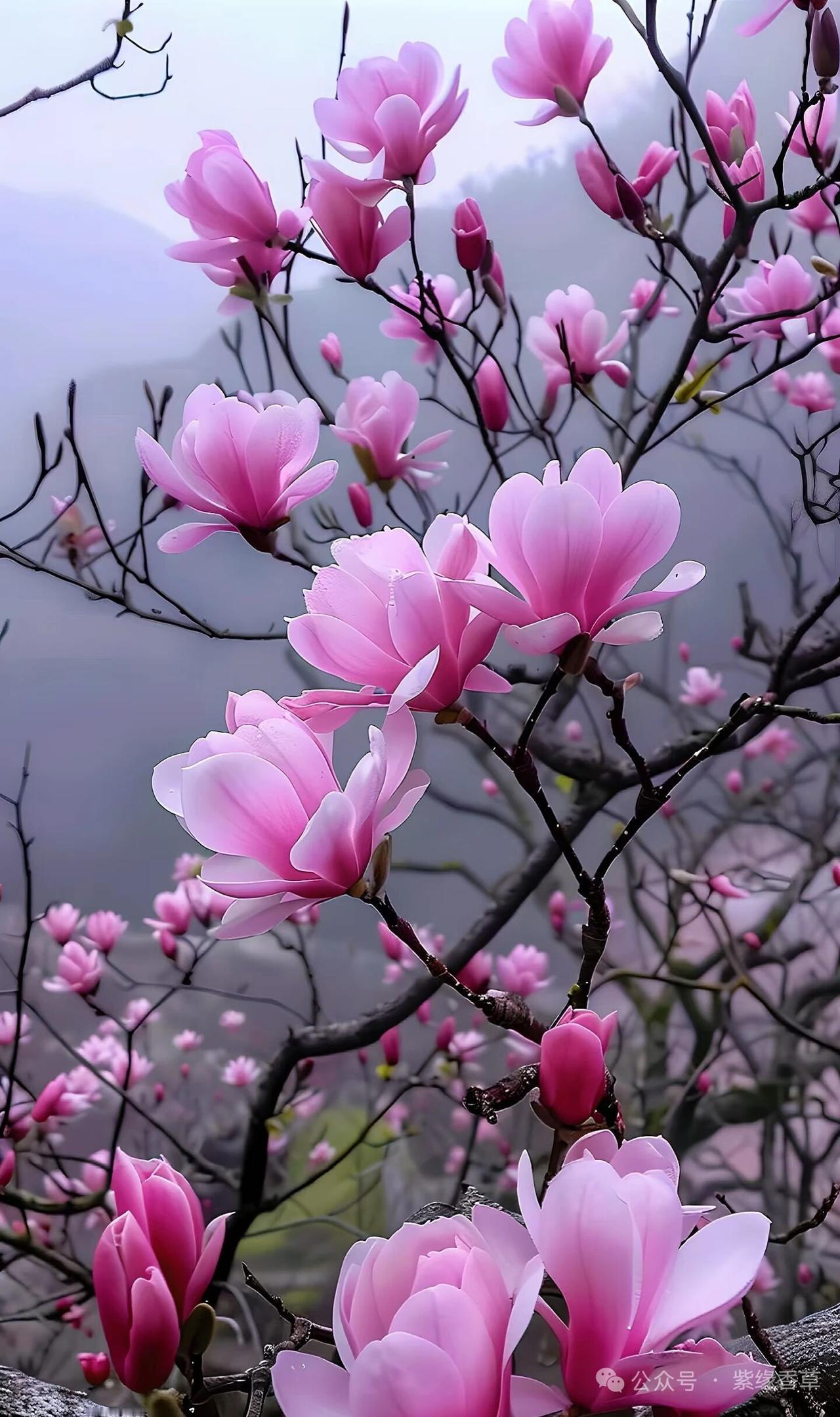 你能忍受张勋睡觉的怪癖吗不能忍，那得多难受，简直上刑堂一样，一点自由都没有。那个