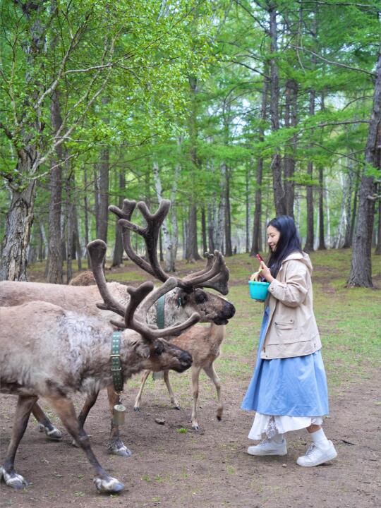 99%的人错过，我为什么推荐夏季阿尔山？🍃