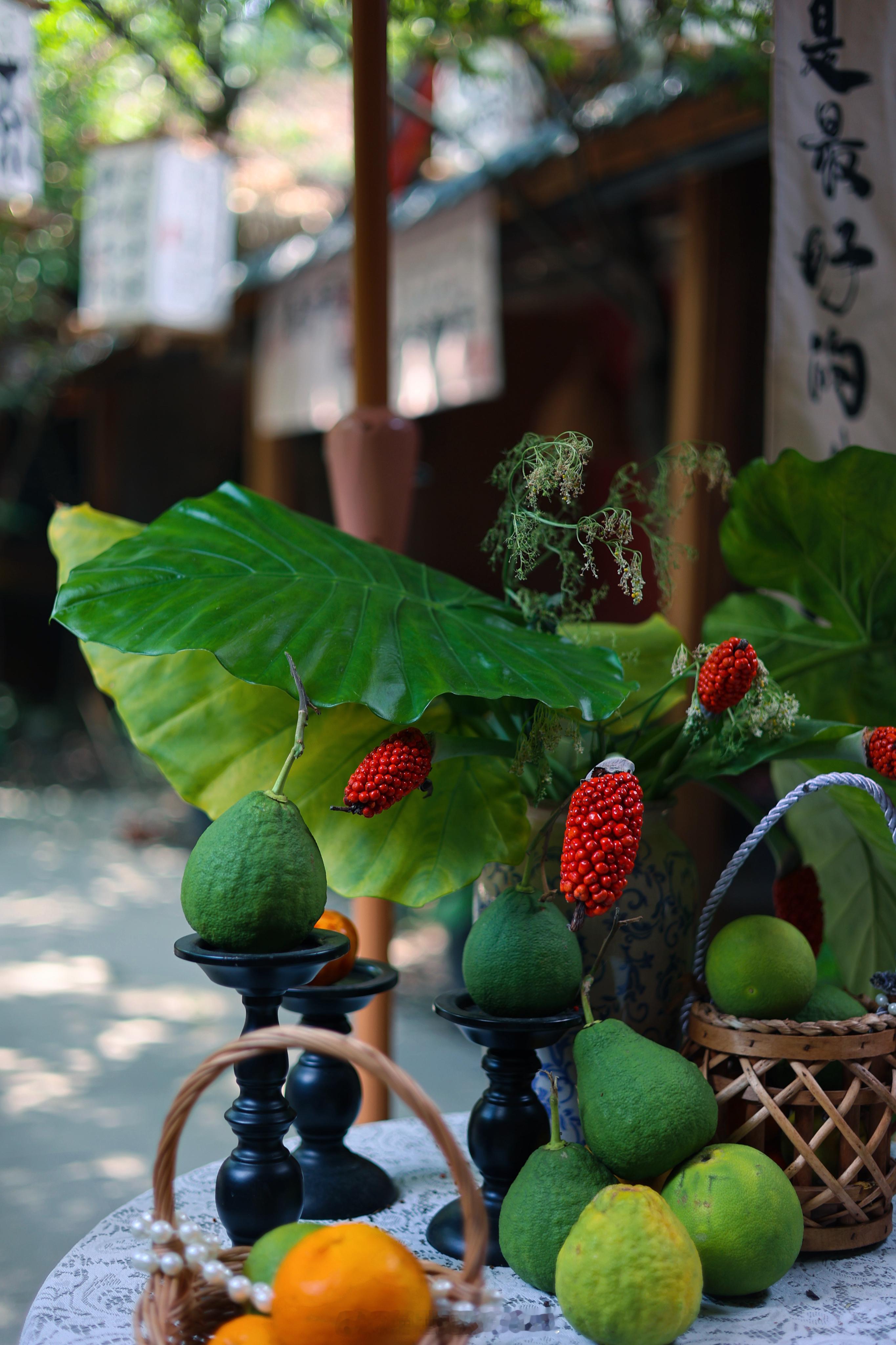 小院里| 万物静观皆自得🍃☕️🌳 成都·小隐小栖(国色天乡店)
