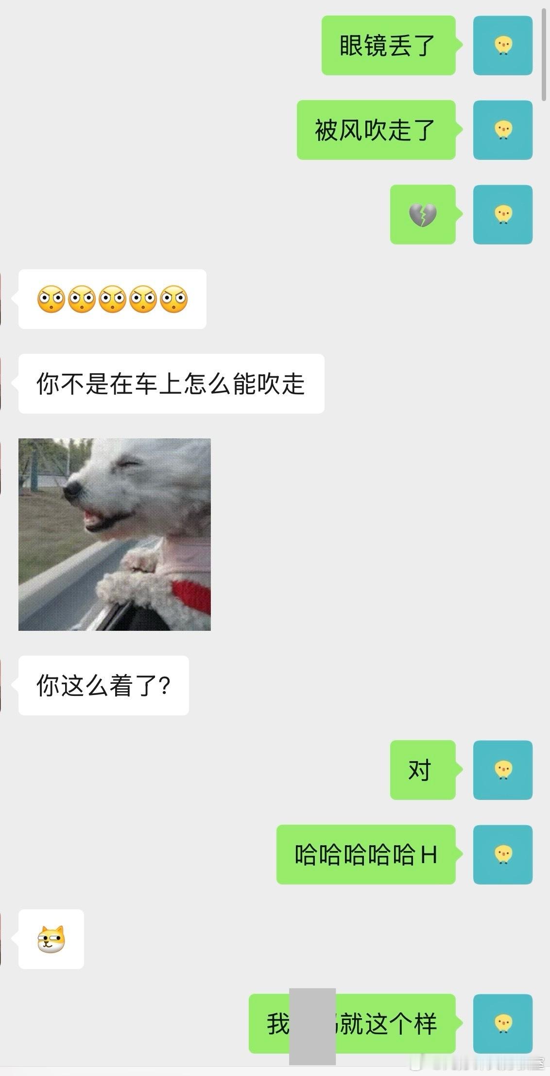 今天返程路上，眼镜被风吹走了，场面如图