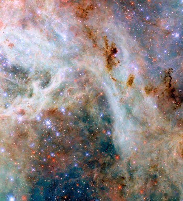 新世界诞生的地方，就在160,000光年之外，在大麦哲伦云的塔兰图拉星云外围，哈