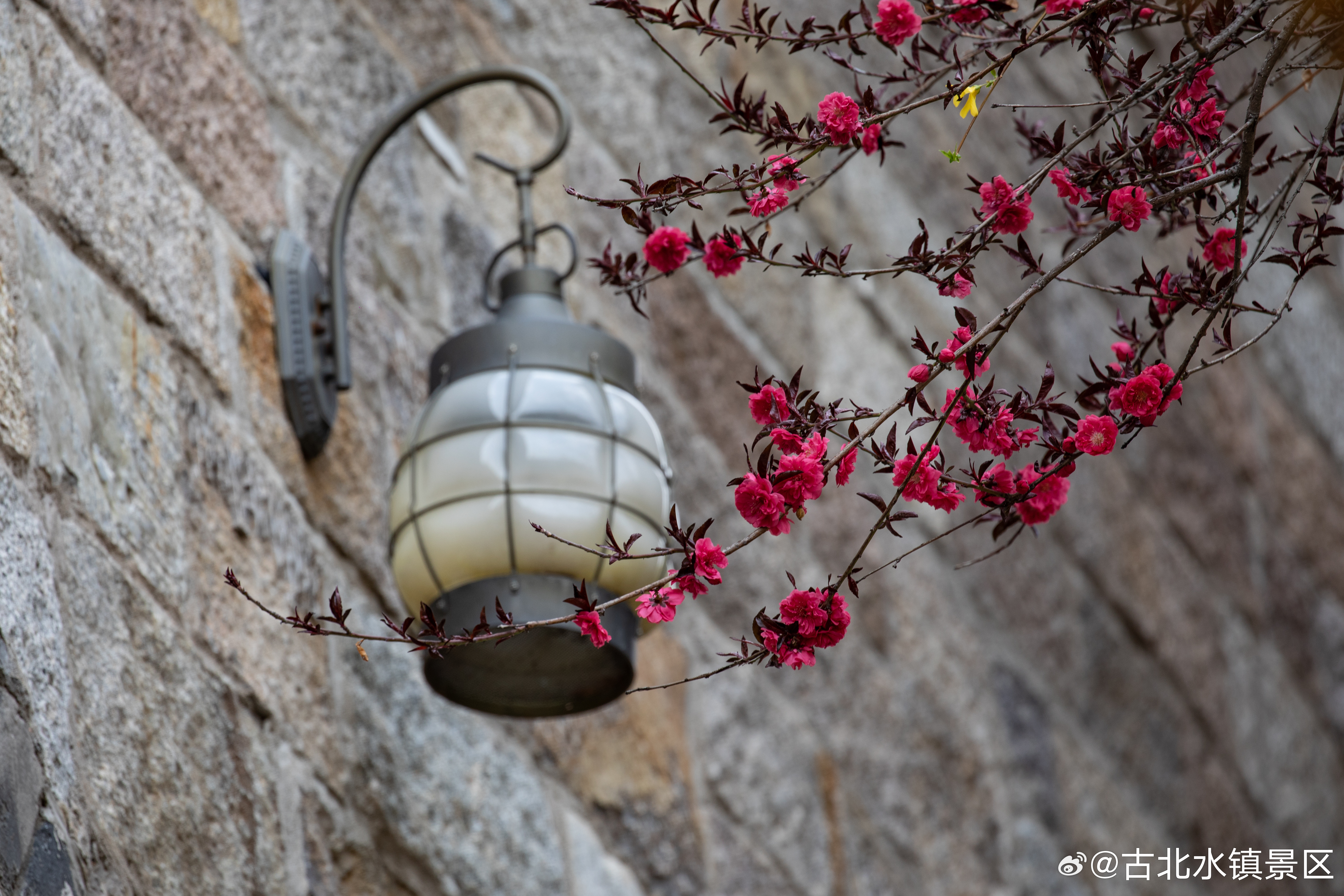 每个清晨都裹着希望，像花开般温柔带着笑意，奔赴属于自己的远方早安，宝子们~#司马