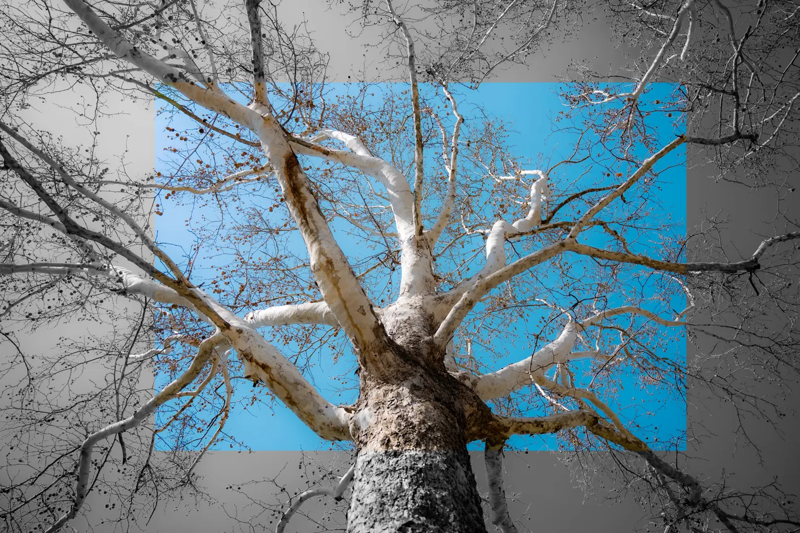 同我啜泣 共我悲鸣。