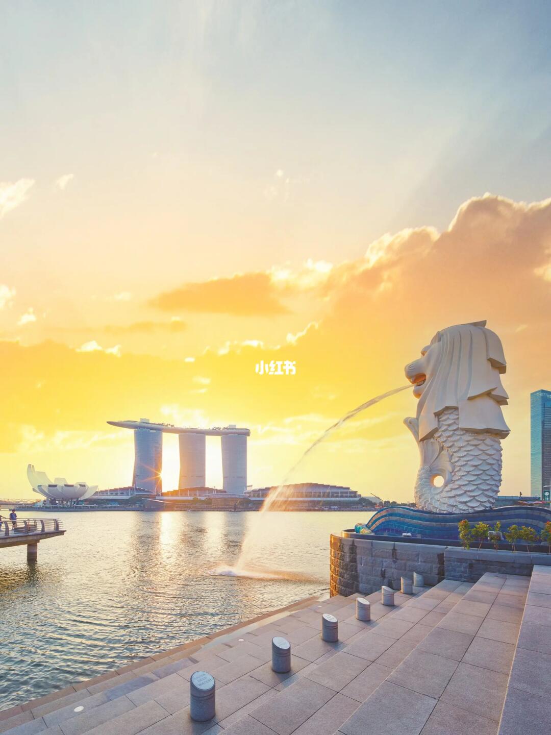 新加坡正式免签❗️出发前先看这份攻略‼️