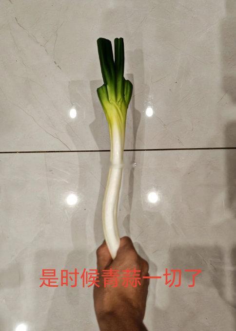 日本将不再有大熊猫这个“将“用得好，具体是2026年一月下旬，最迟2月。往好处想